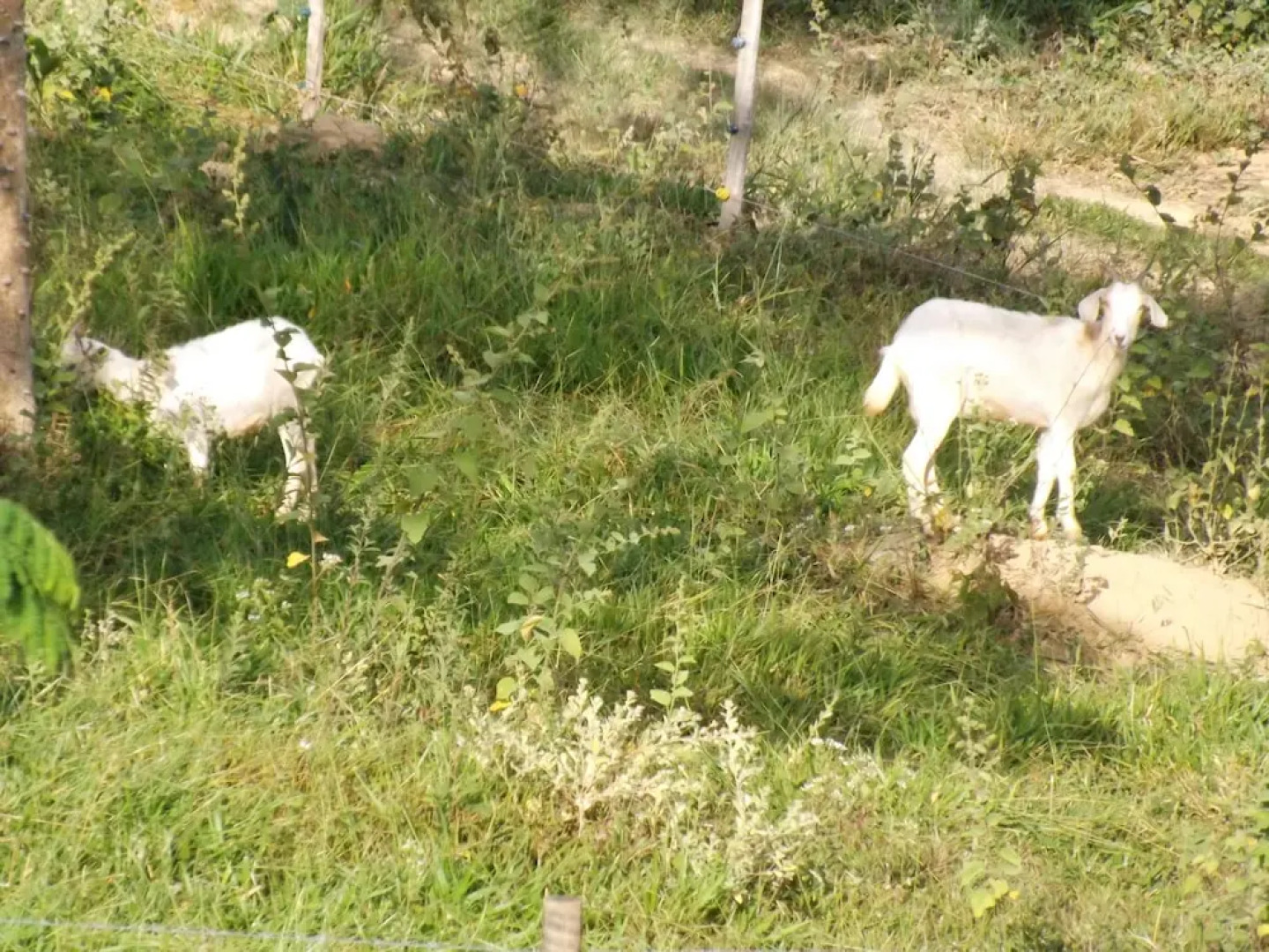 Pousada Mirante dos Ipês