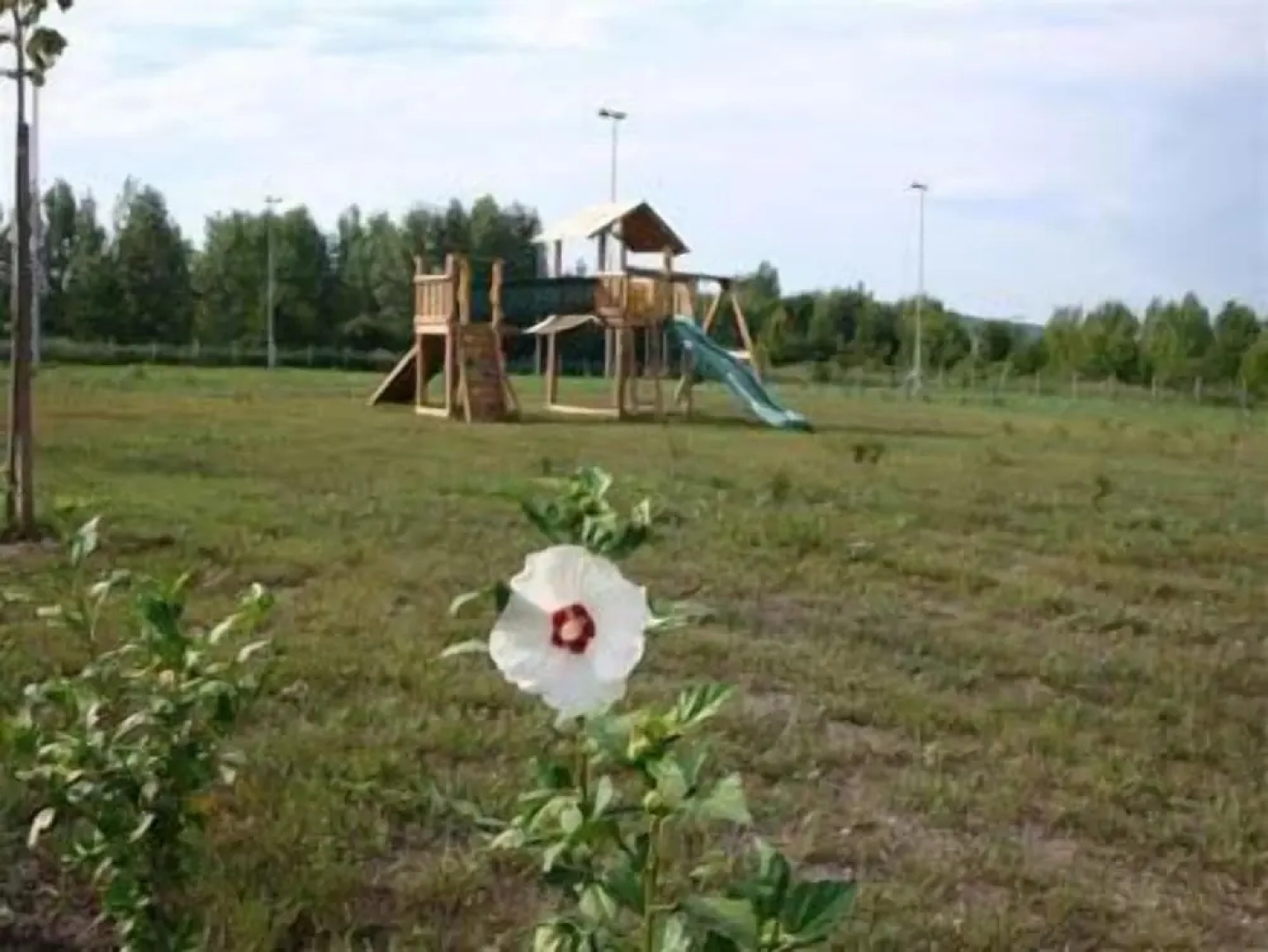 Szépia Bio & Art Hotel