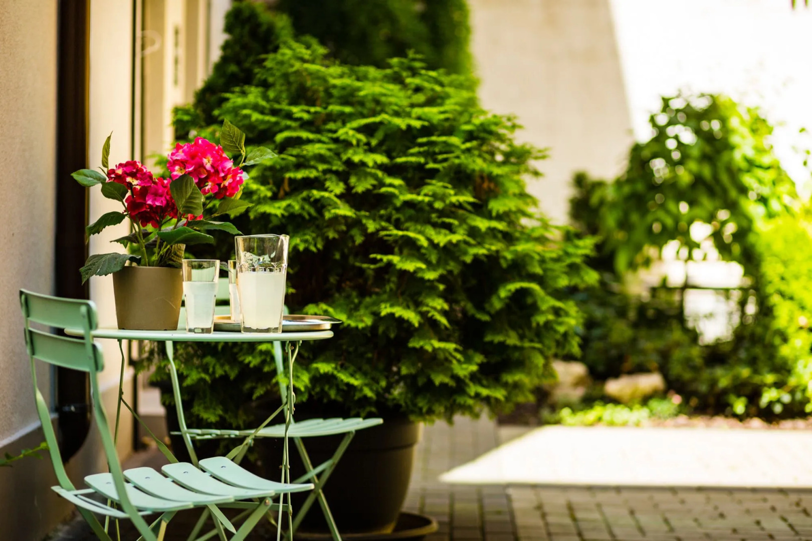 5 Vintage Guest House