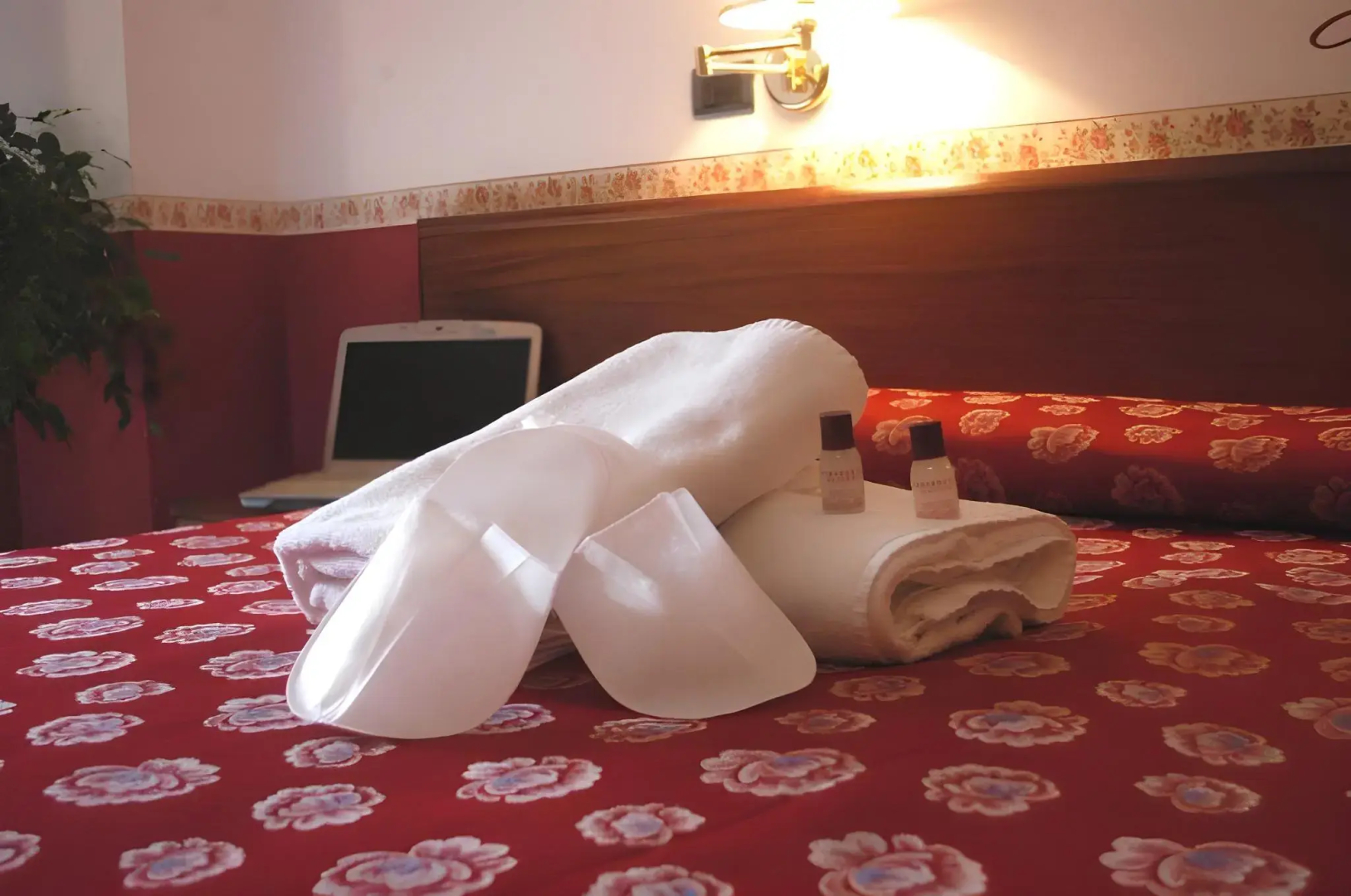 Hotel Iris Crillon