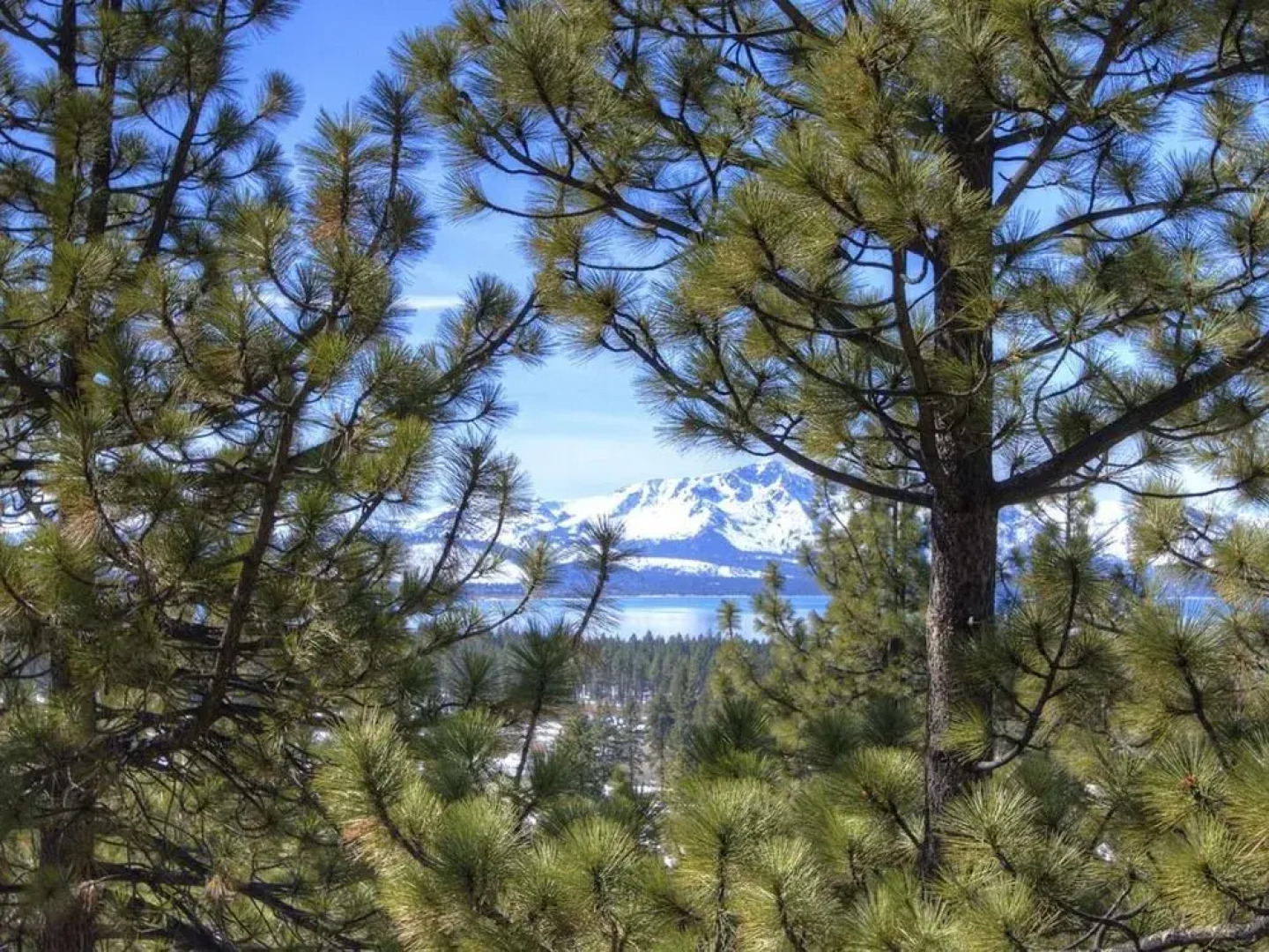 Modern Lake Village with Great Views 3 Br condo by RedAwning