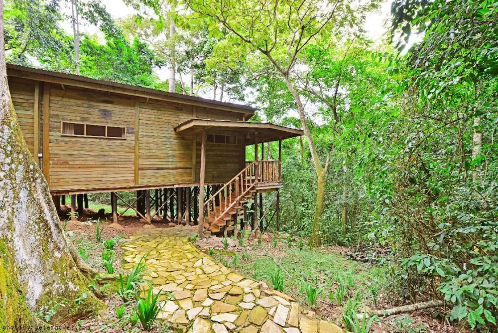 Rainforest Lodge Mabira by GEO