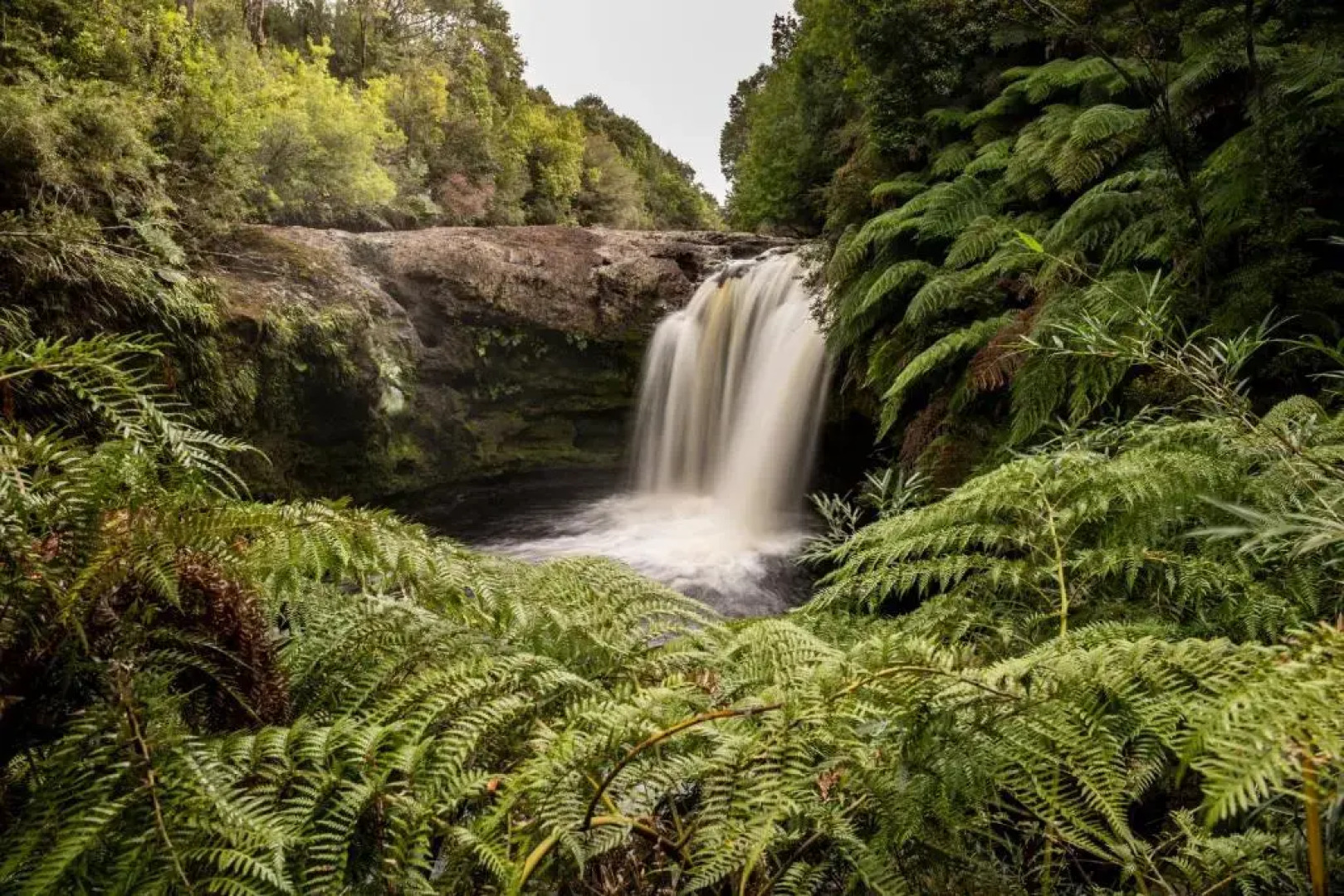 Lodge Parque Tepuhueico