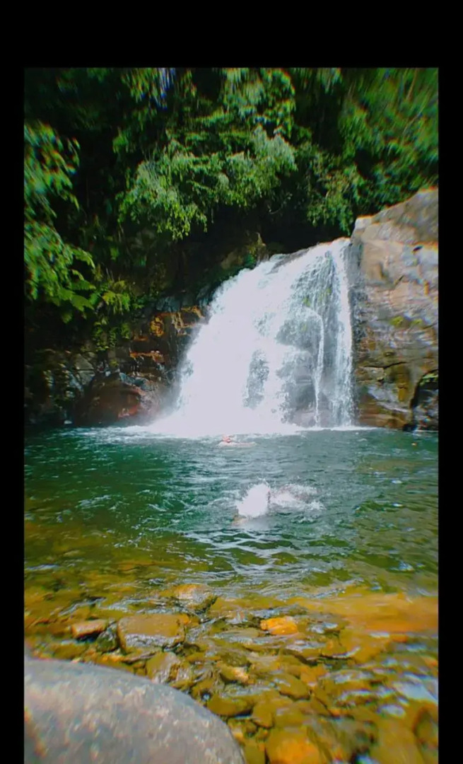 Sinharaja Green Villa