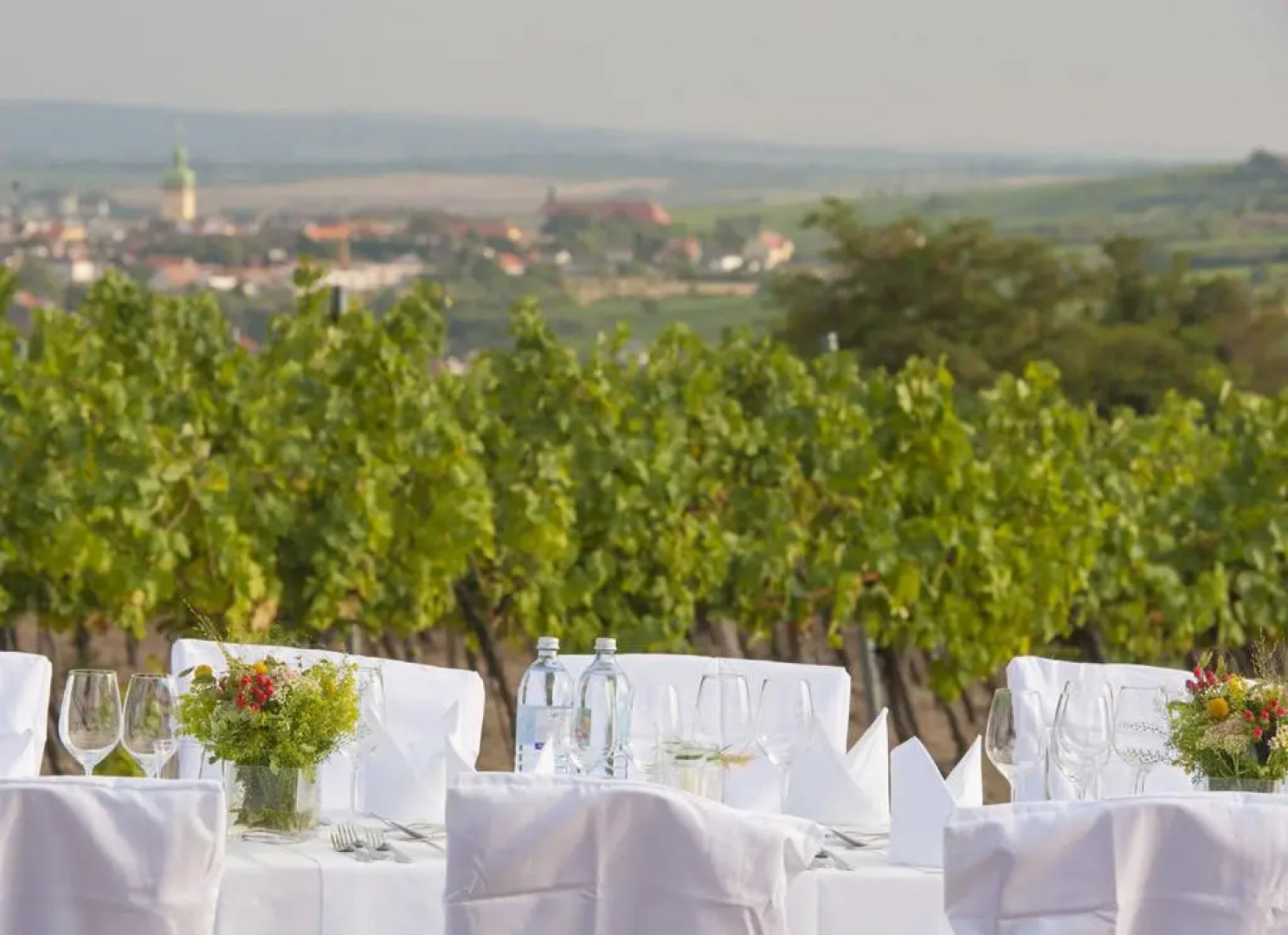 Rebenhof Schwalm (Adults Only)