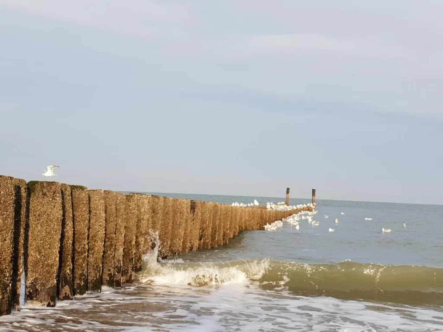 Studio aan Zee Oostkapelle