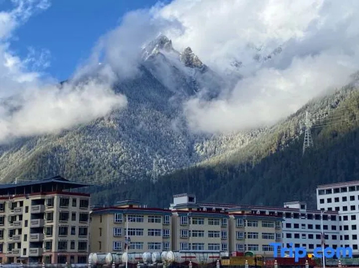 Meet Snow Mountain Boutique Residence