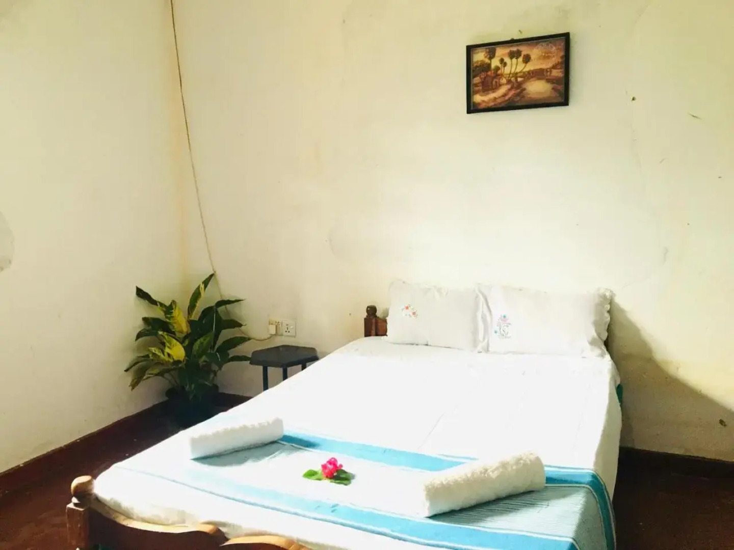 Mama Daisy's Homestay Rekawa.