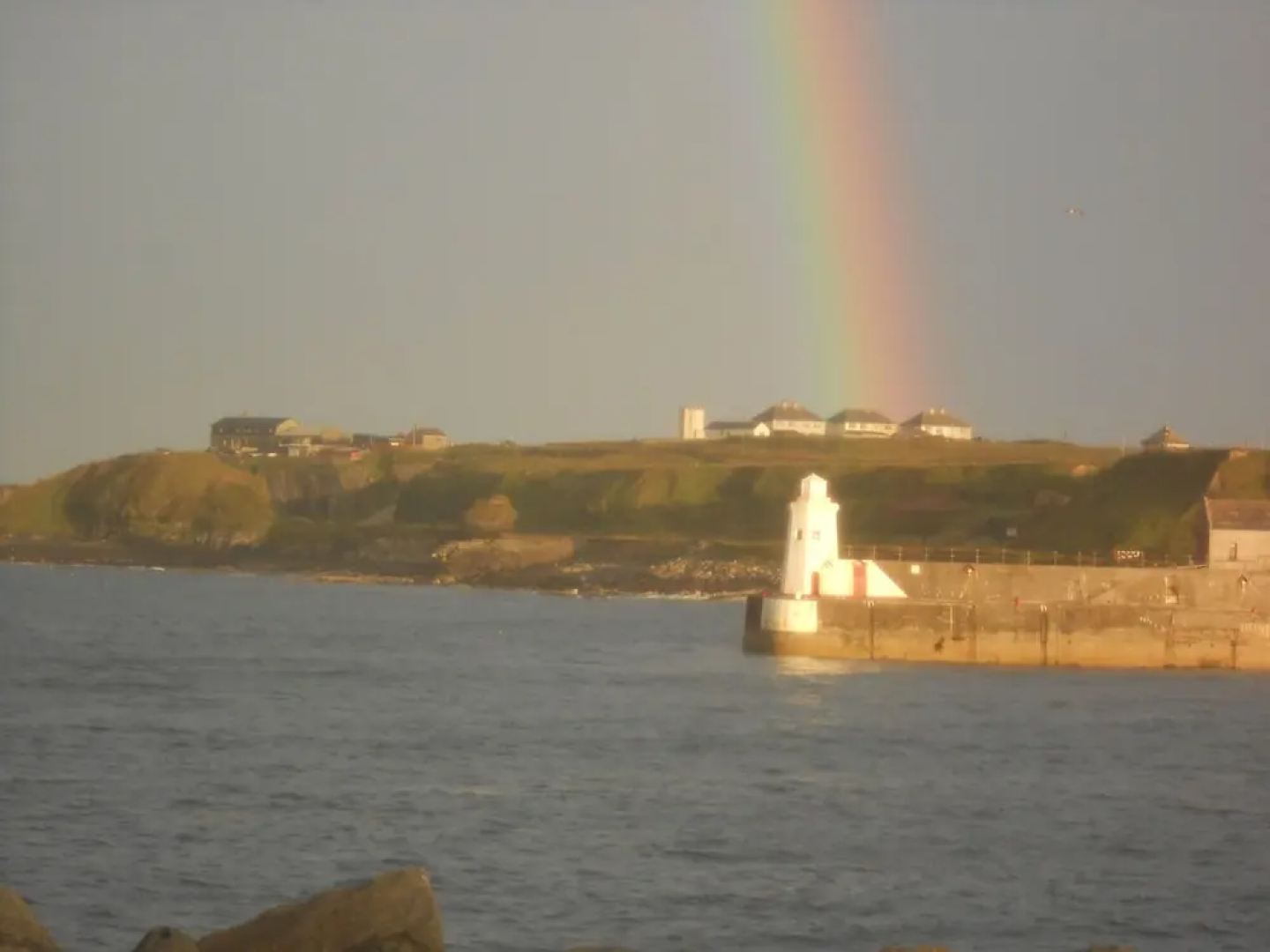 Seaview Guest House