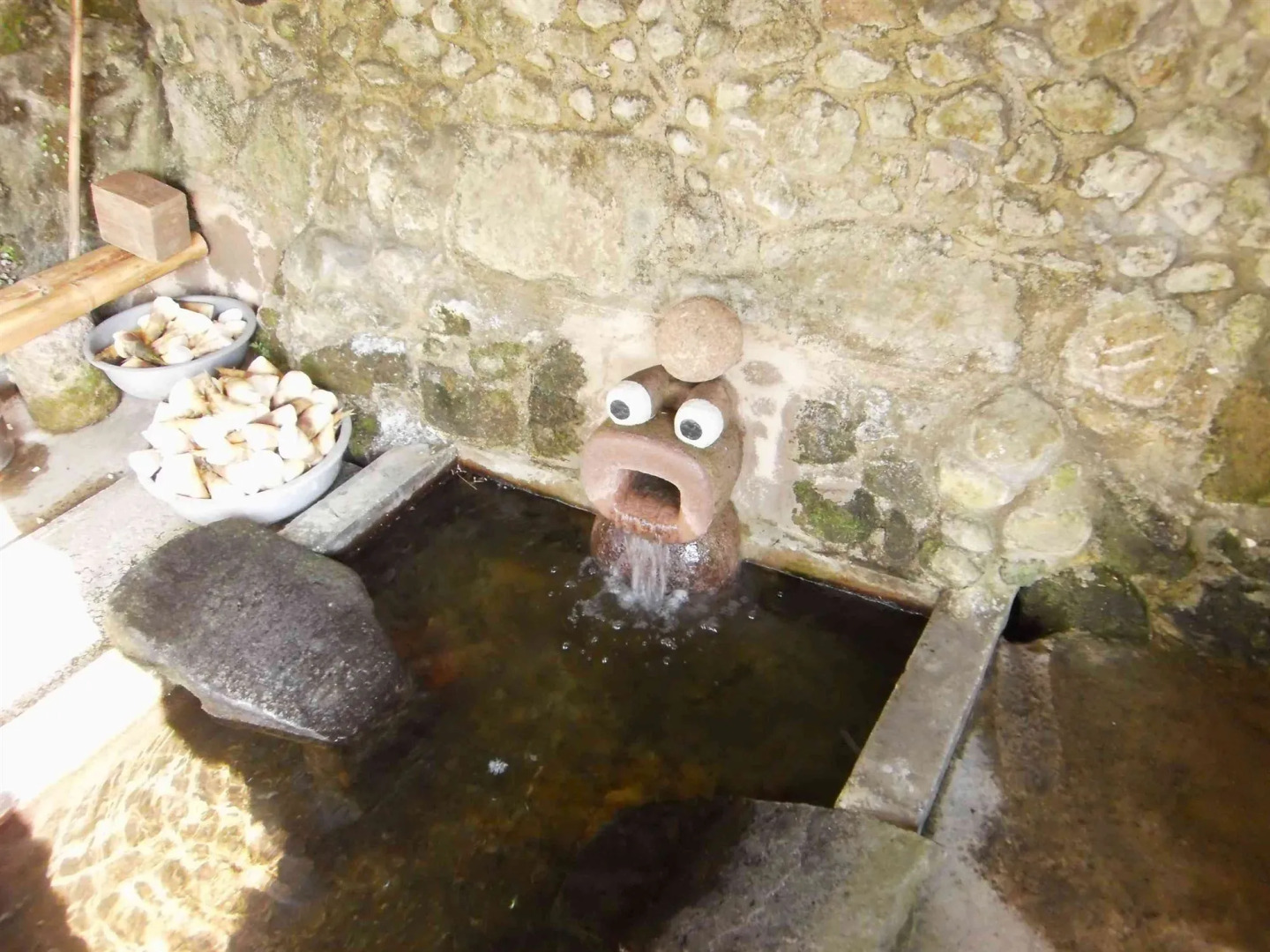 Greenpeak Holiday Villa