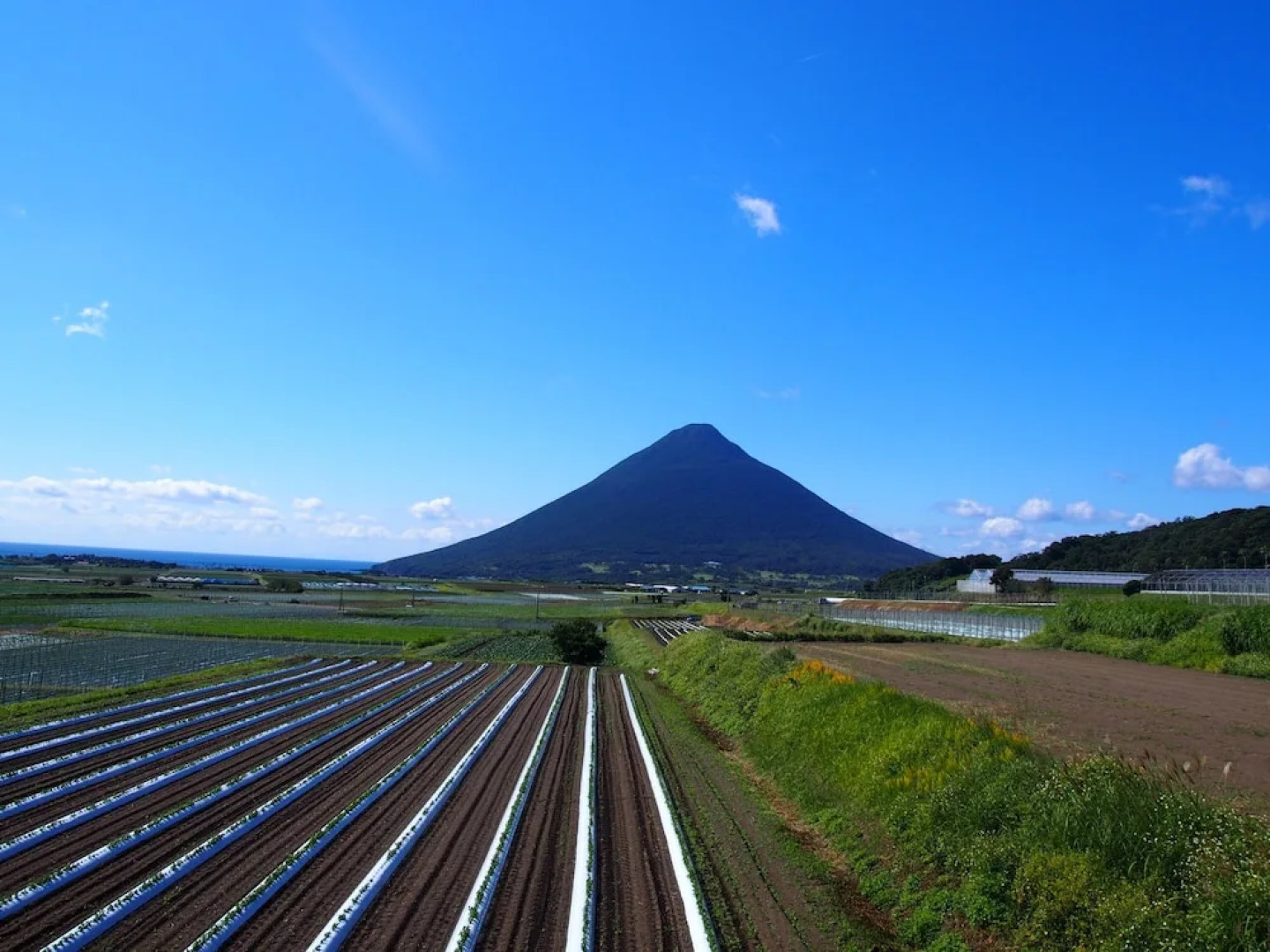Family Ryokan Kawakyu with Showa Retro, Private Hot Spring