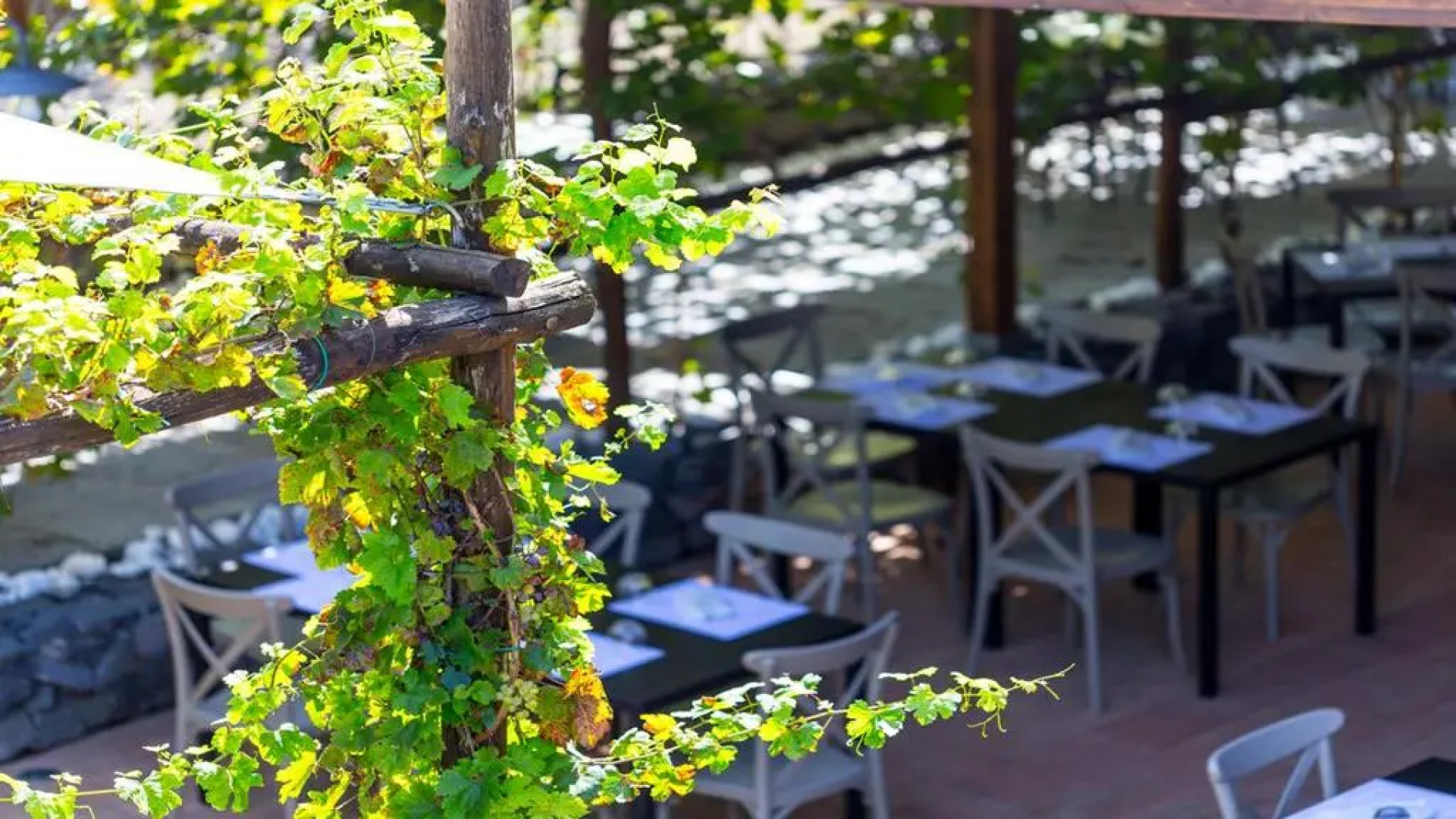 Resort & Winery Bosco De Medici