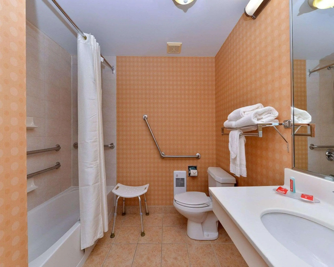 Econo Lodge Inn & Suites University