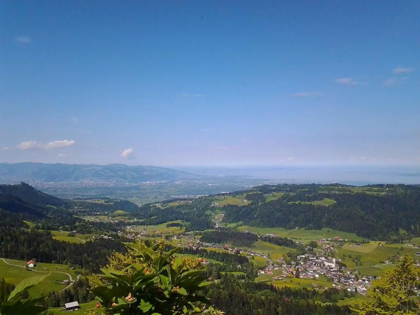 Schedlers Löwenhotel Garni