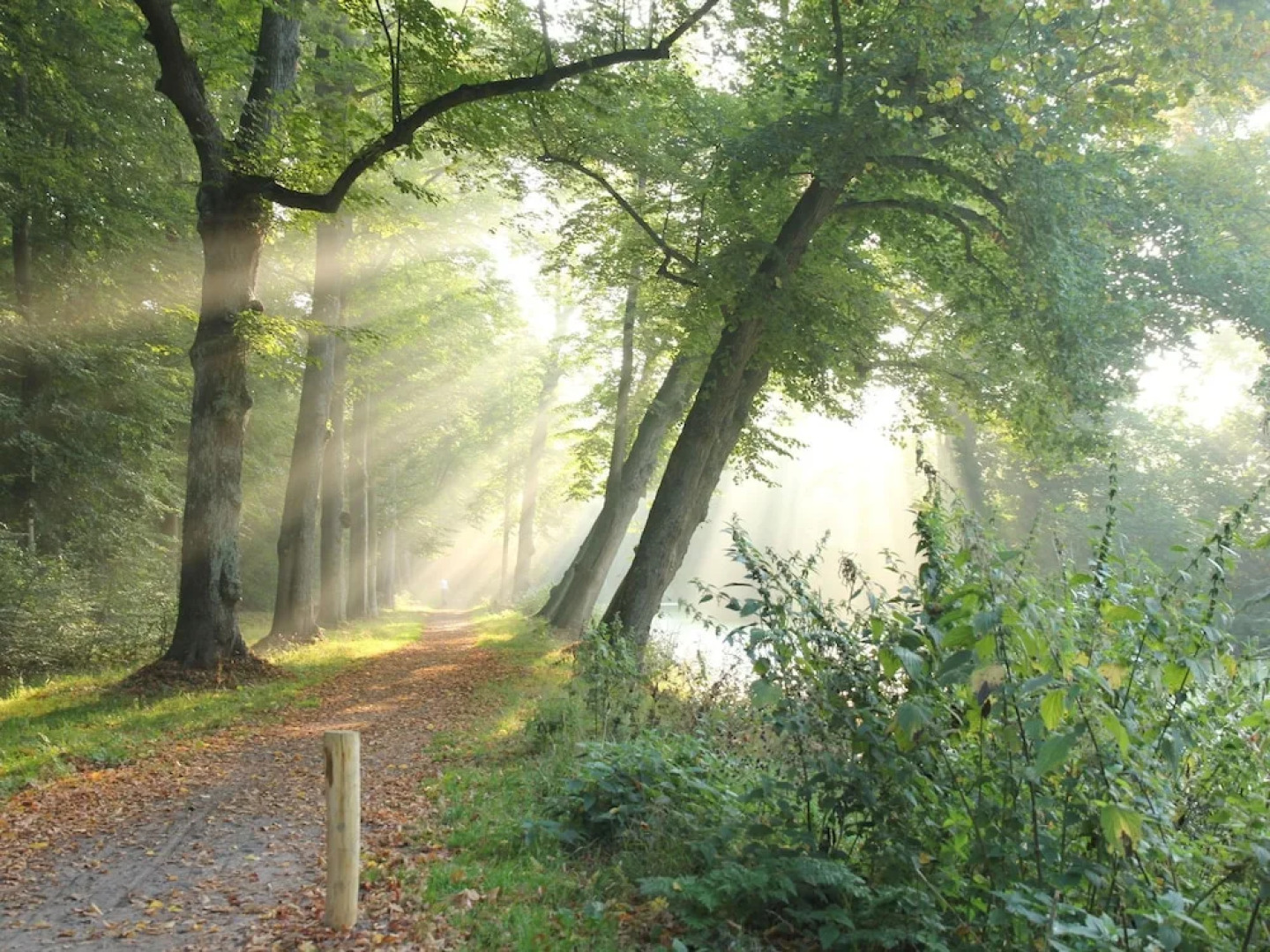 Cushy Apartment in Rutten With Terrace, Garden, Parking