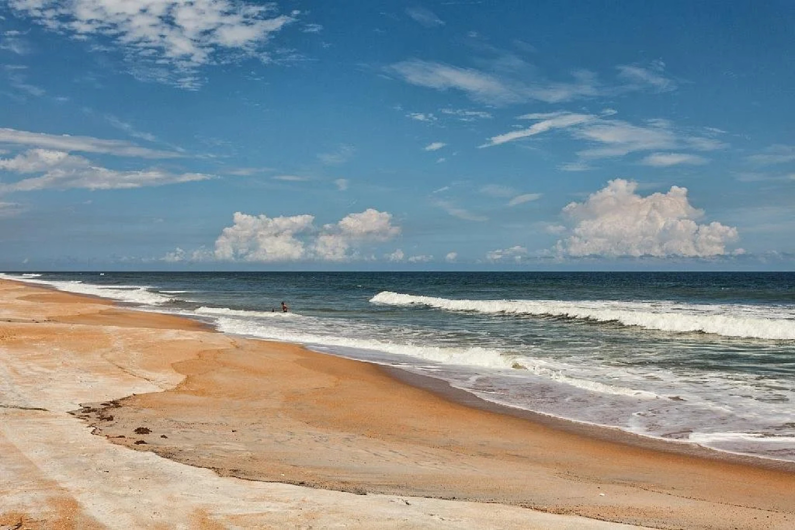 White Heron by RedAwning