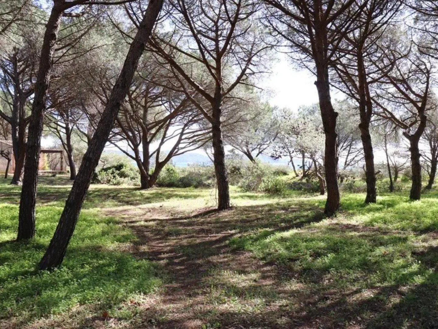 Villa Cavalaire-sur-Mer, 5 pièces, 8 personnes - FR-1-100-209