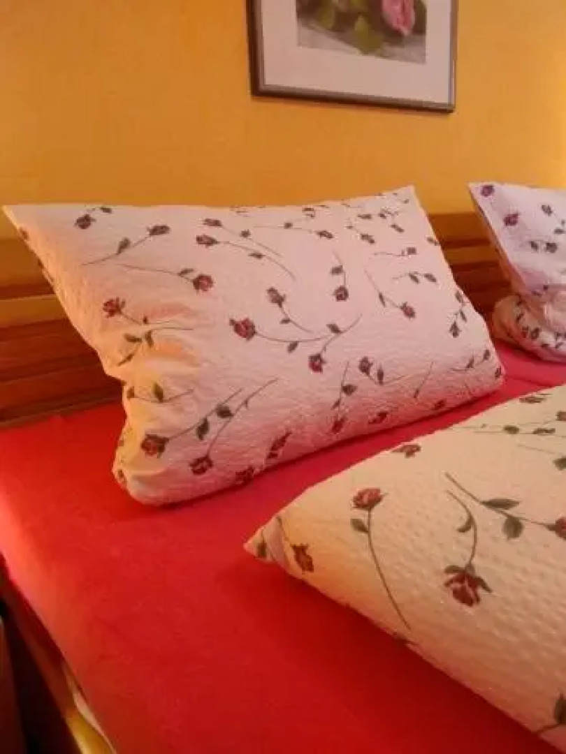 Pension Lange