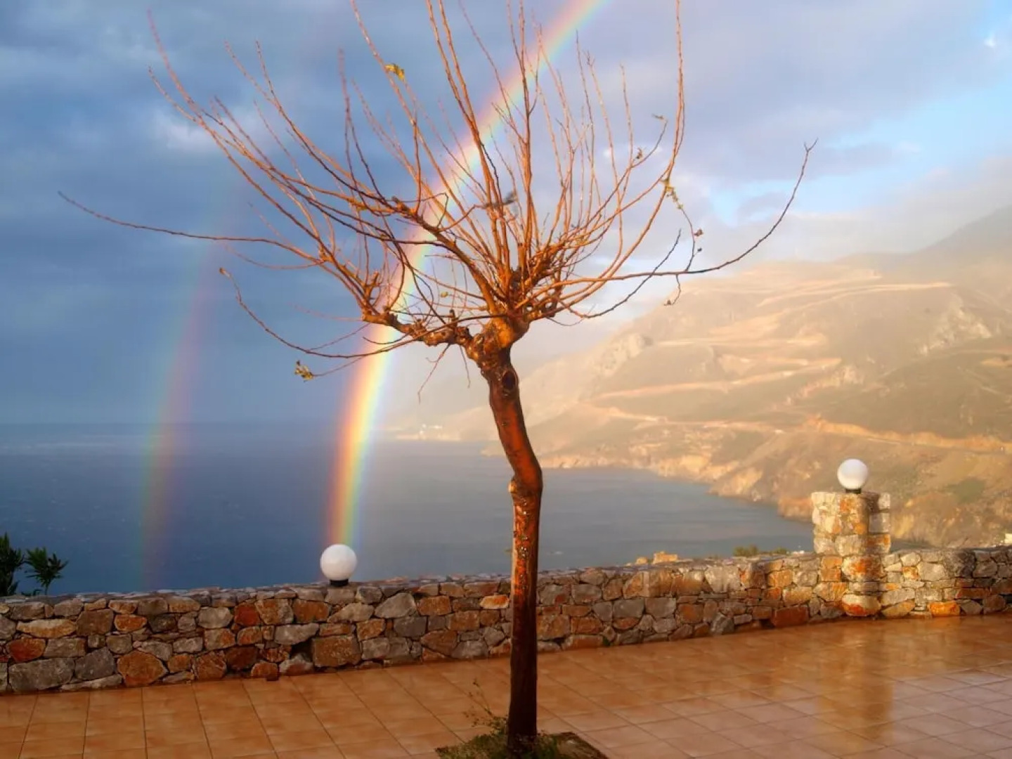 Sfakia Thea Apartments