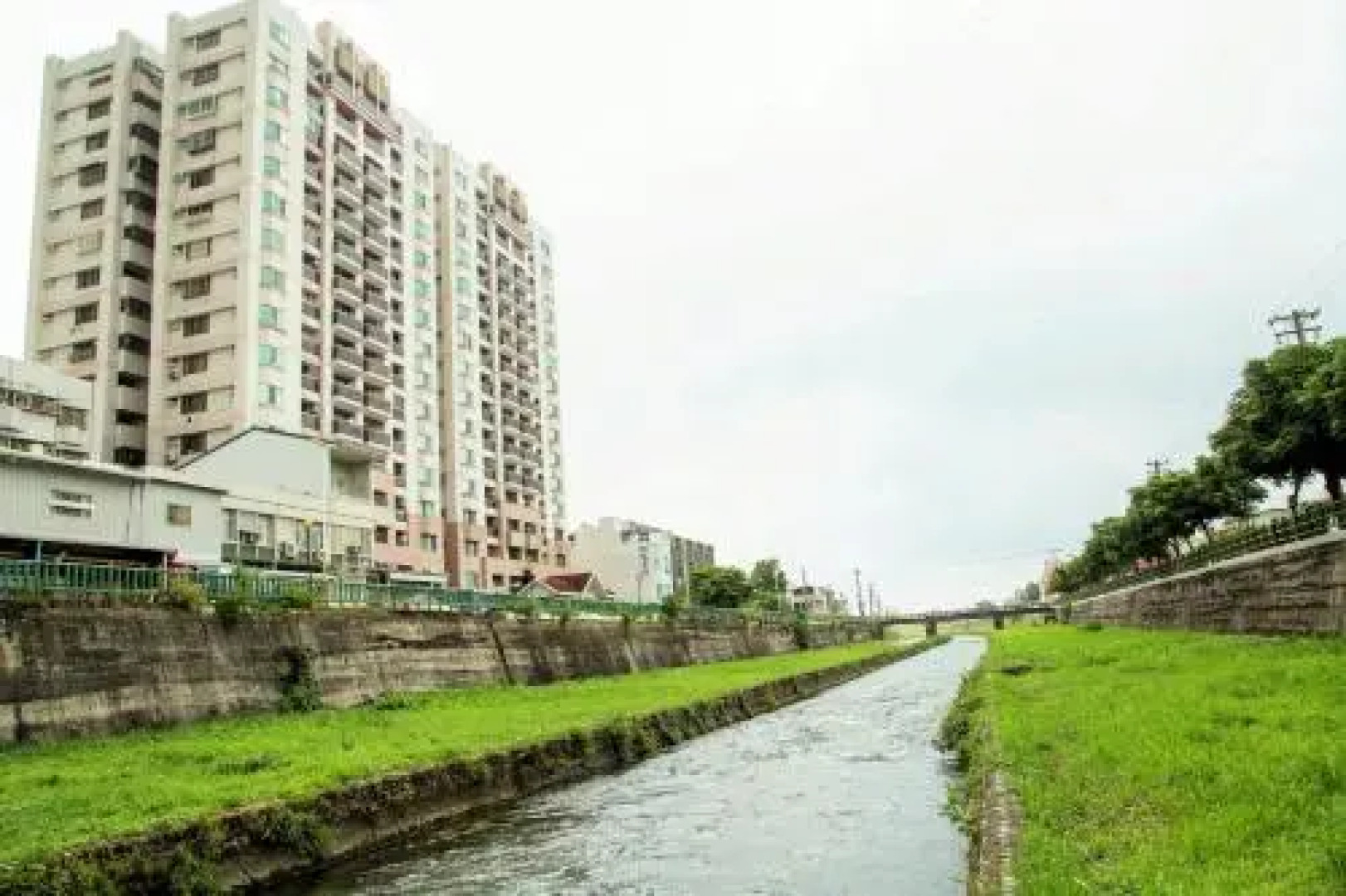 Sweet Cotton Candy 2