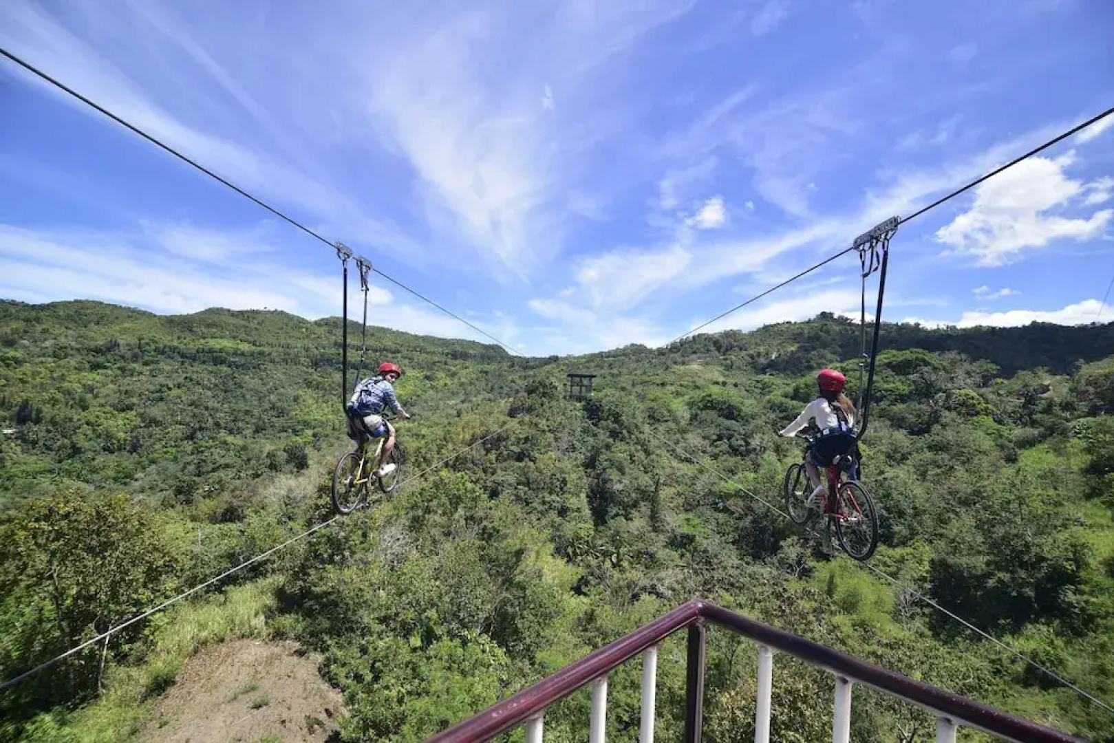 Cebu Safari and Adventure Park