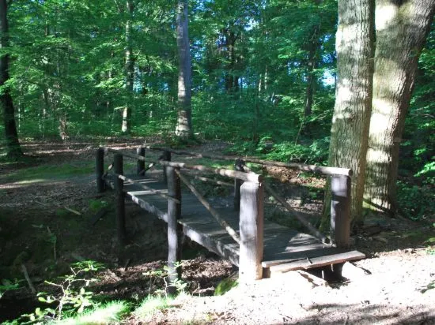 Zajazd Zamkowy - Schloßgasthof