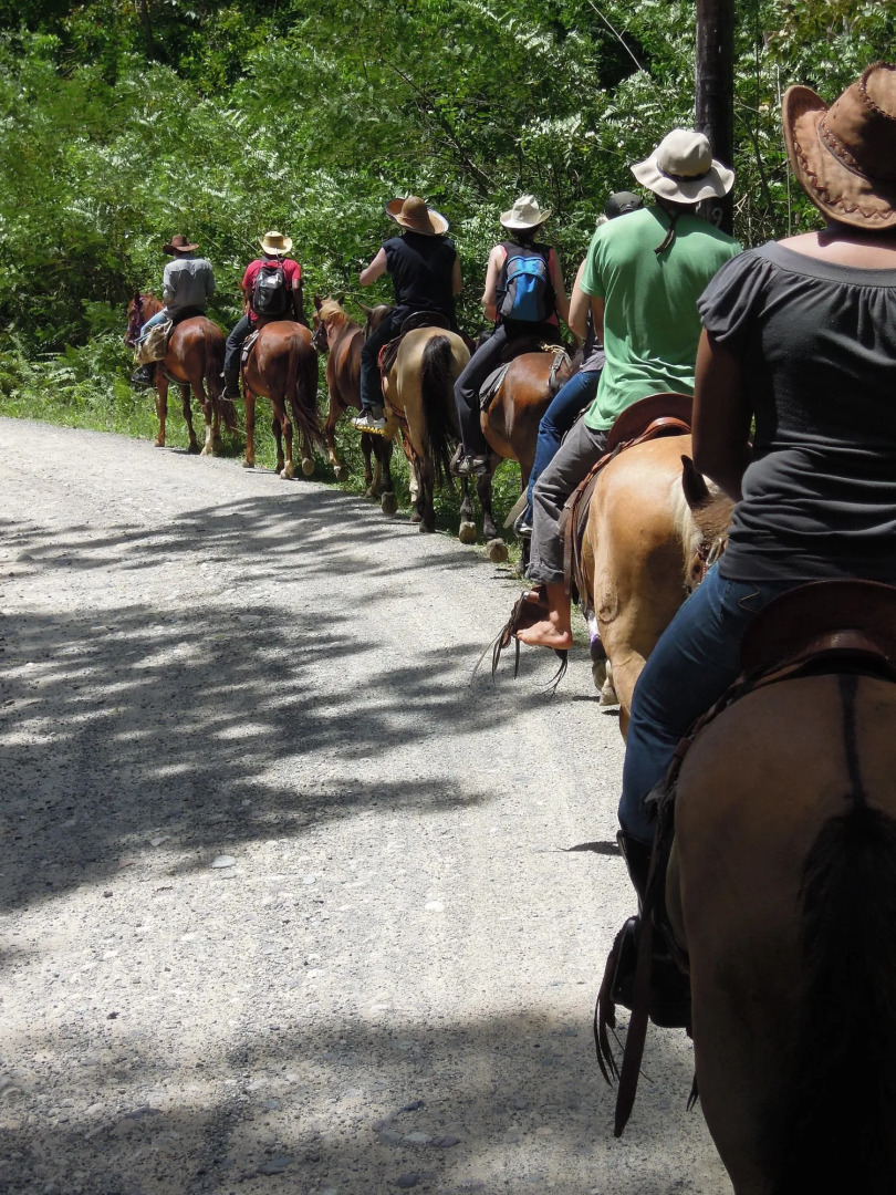 Omega Tours Adventure Company & Eco Jungle Lodge