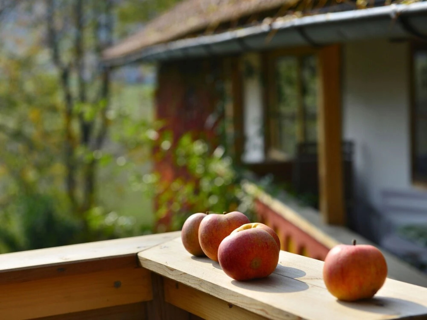 Cozy Apartment in Altreichenau near Forest