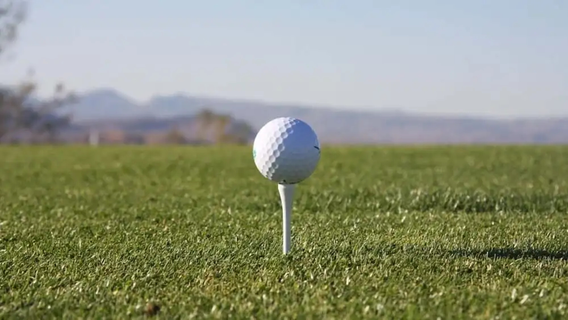 Alpen Appartements Lärchenhof