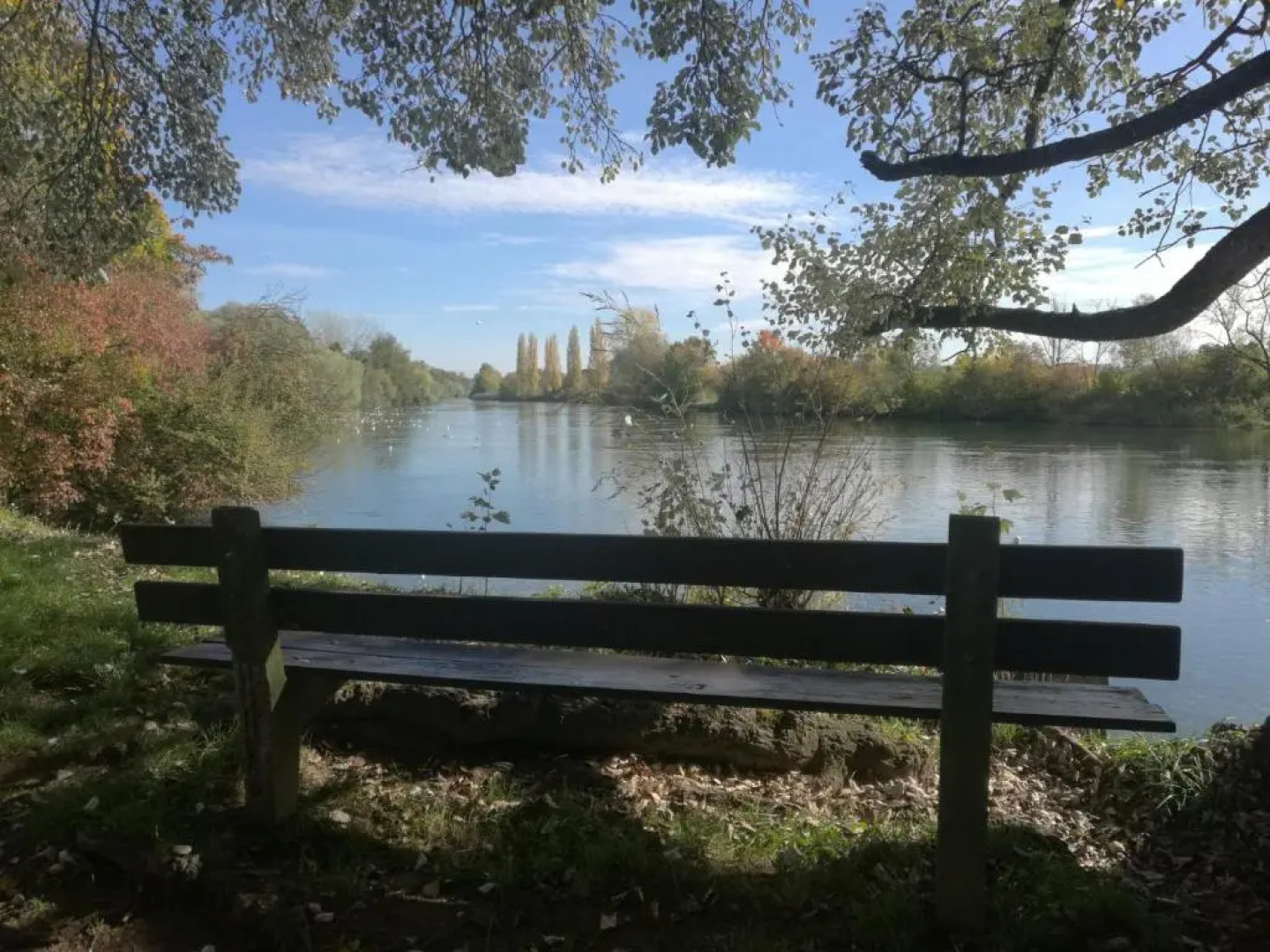 Mariposa Apartamento