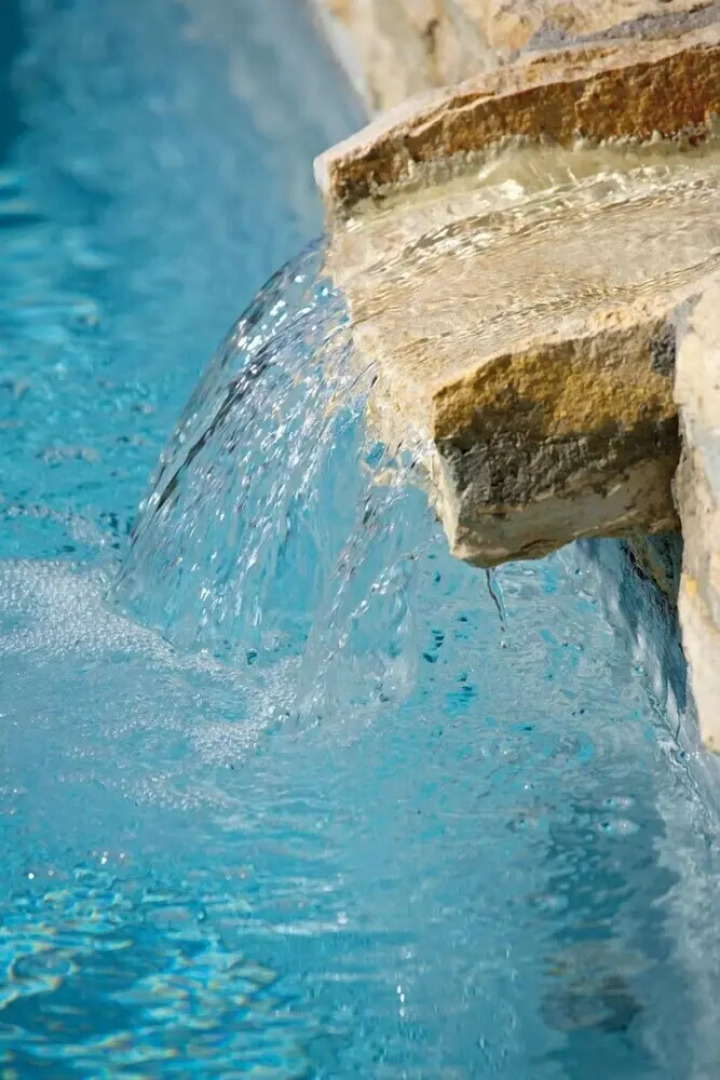 Verdidea - GALLO&GALLETTO