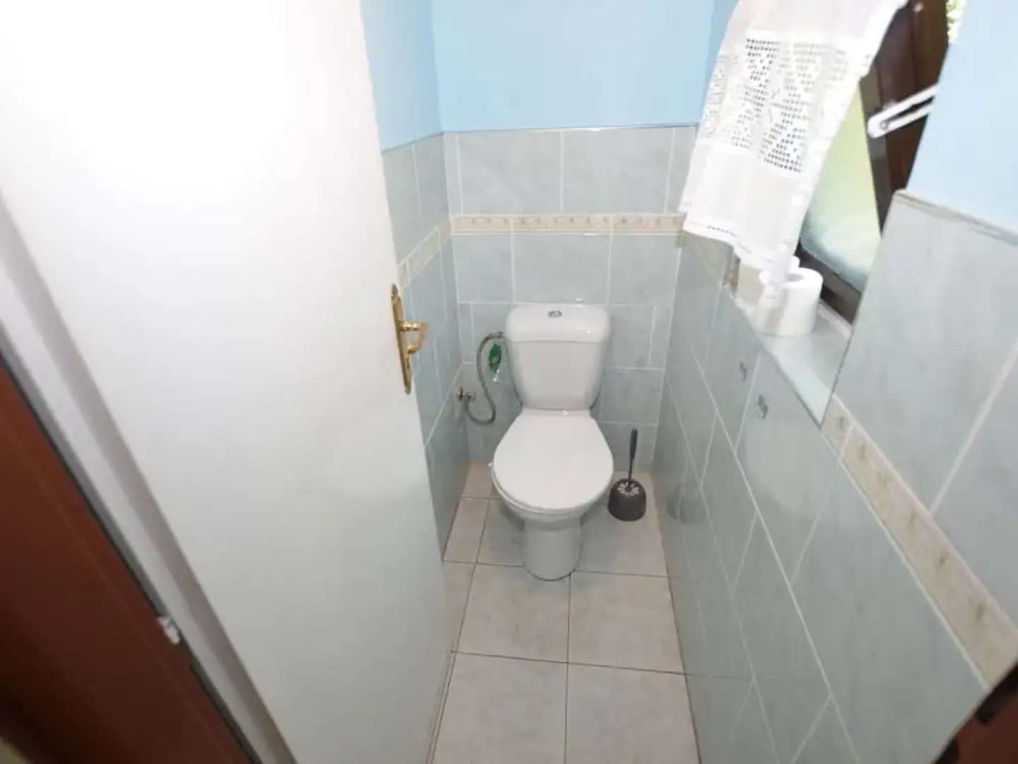 Forest Escape With Garden