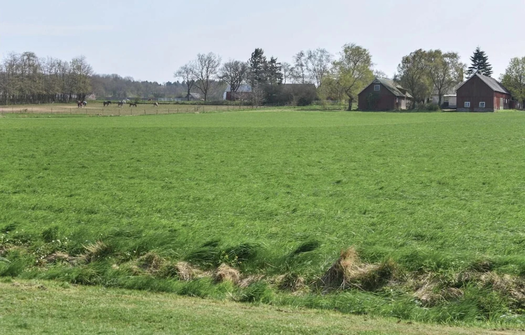 Awesome Home in Hörby With 1 Bedrooms and Sauna