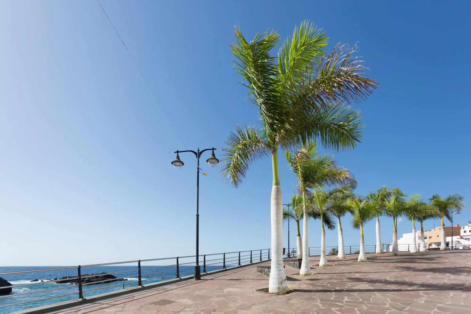 Home2Book Stylish Apartment Alcalá Beach