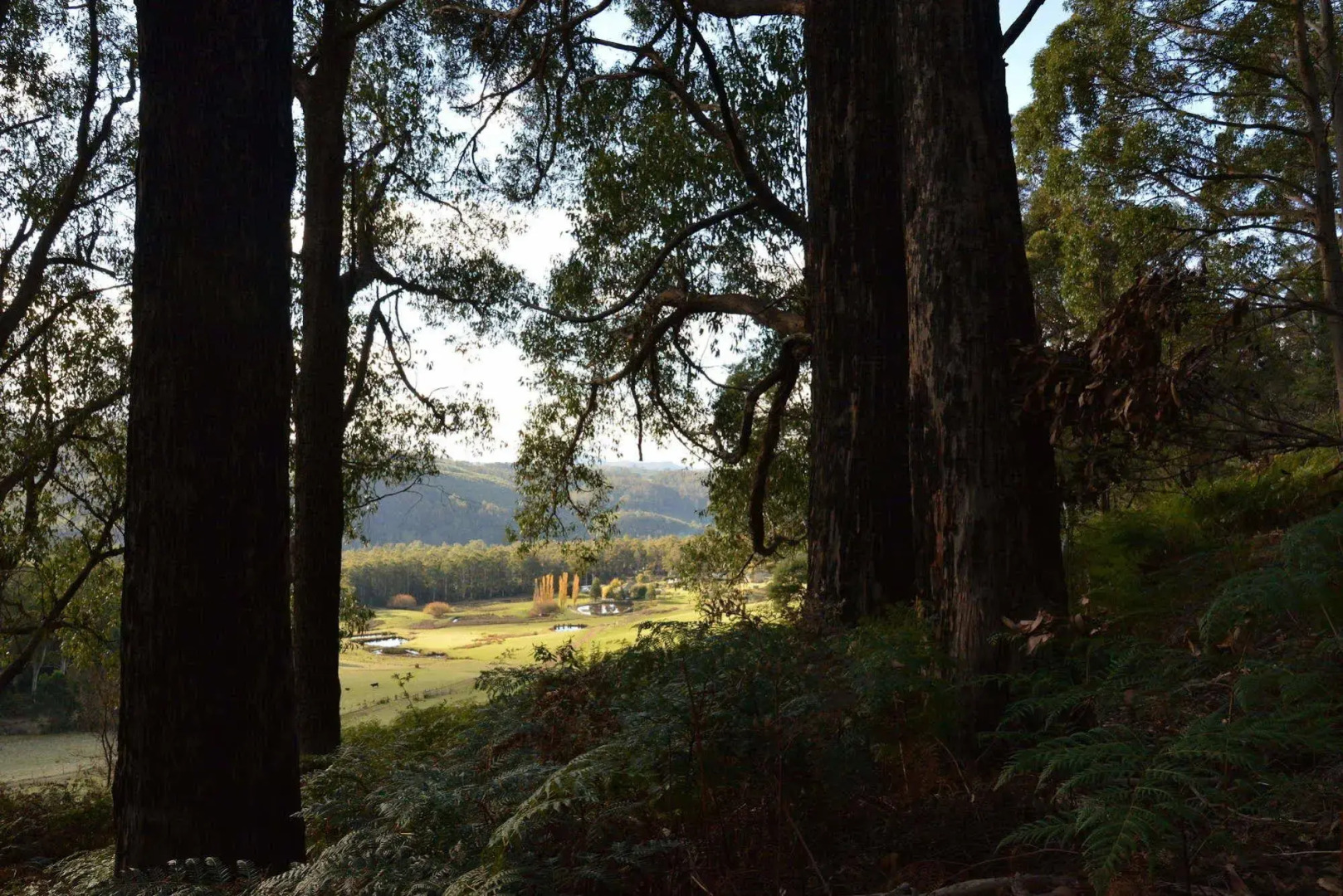 Silver Ridge Retreat