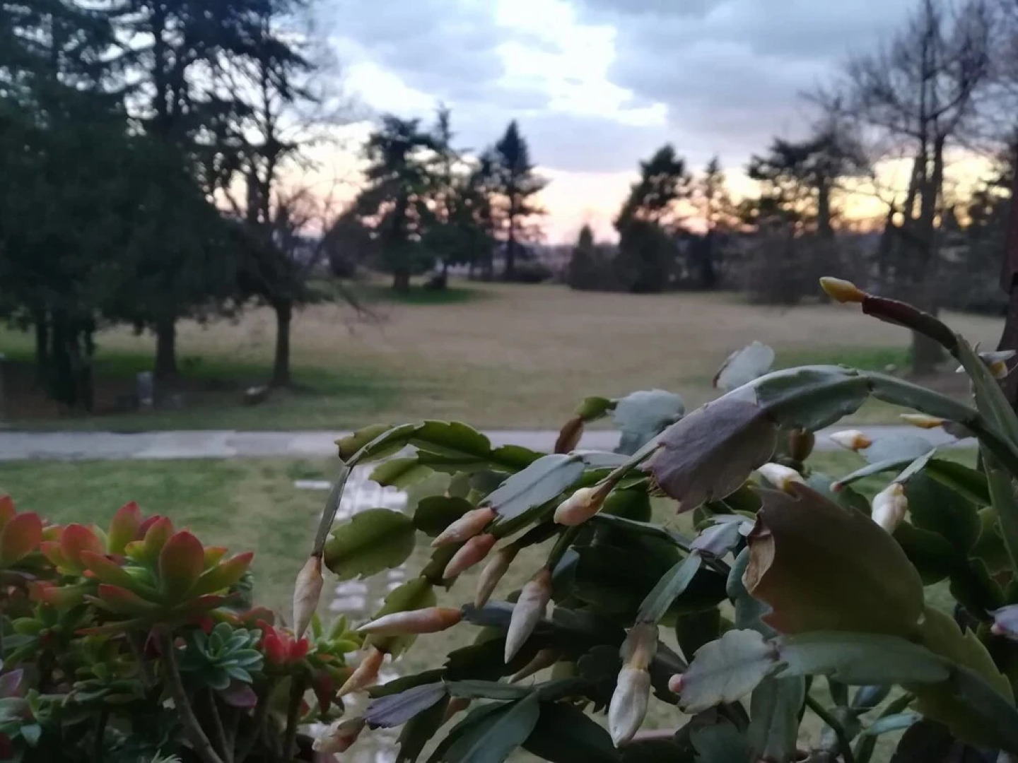 Villa Albrizzi Marini