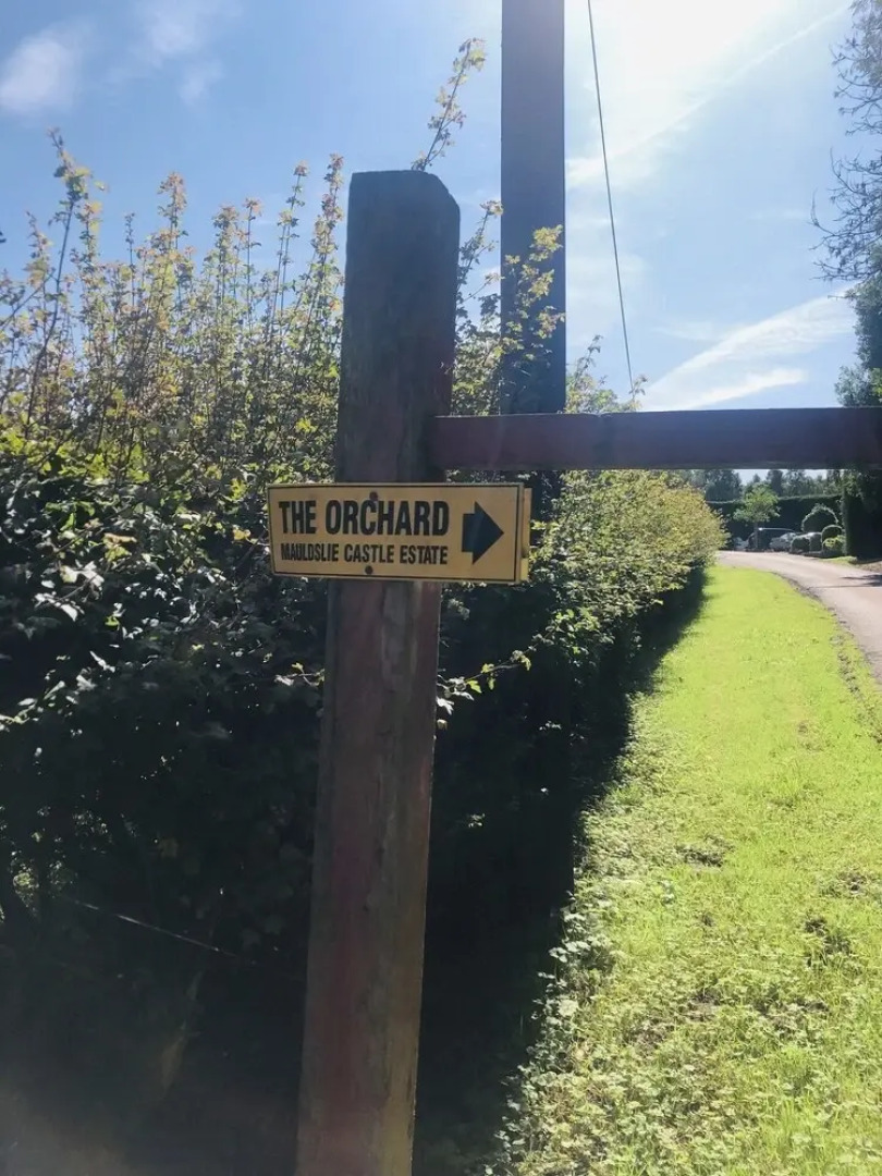 Stunning 1-Bed Apartment in Clyde Valley