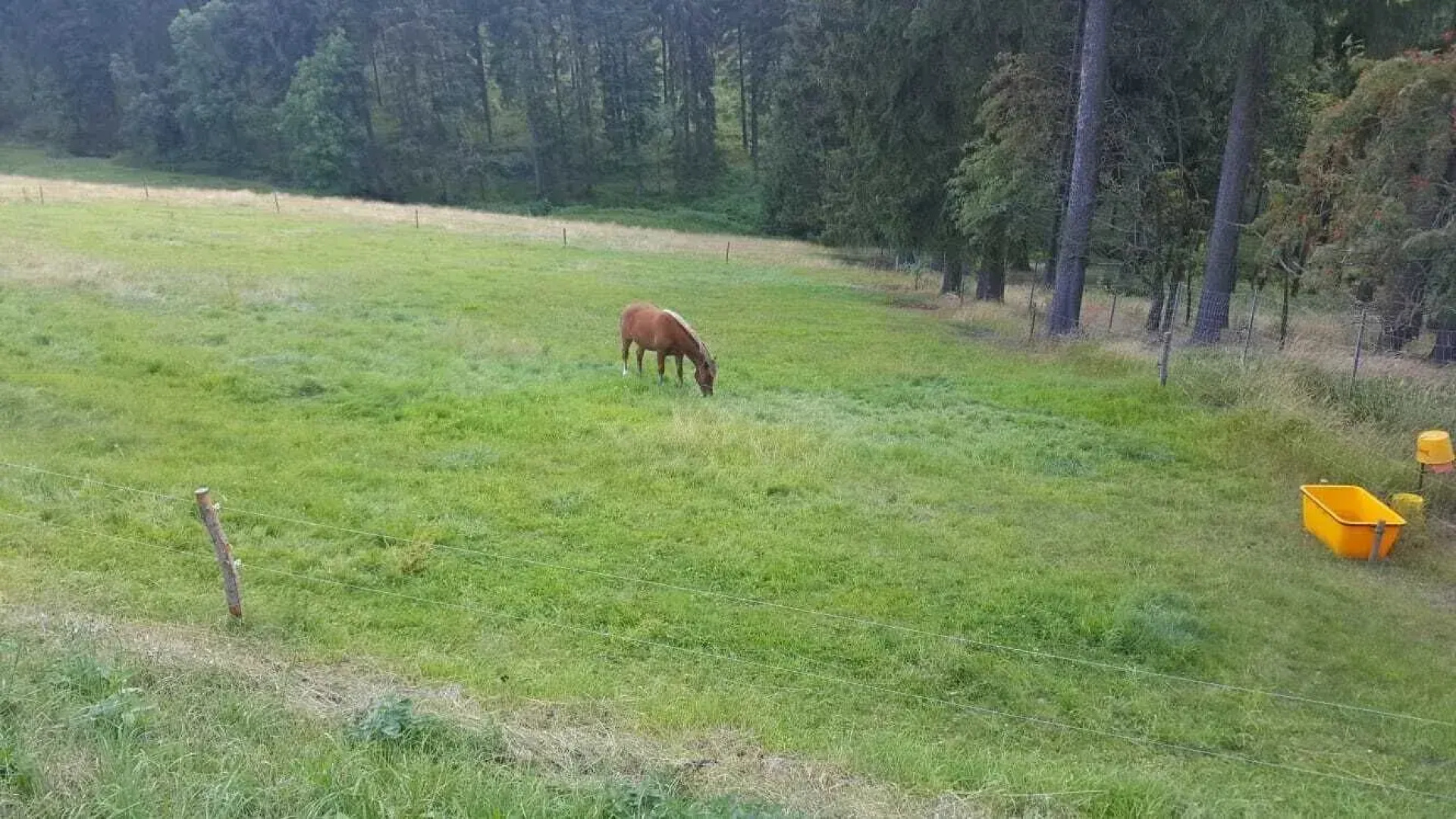 Ferienwohnungen Börnert