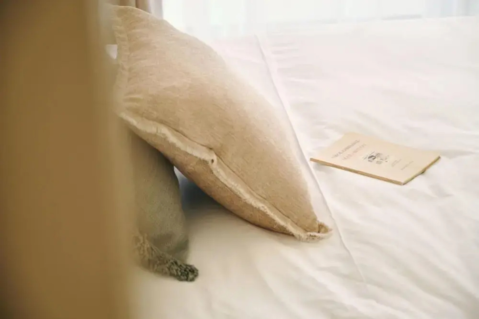 Suite 1003 at Althea Residence