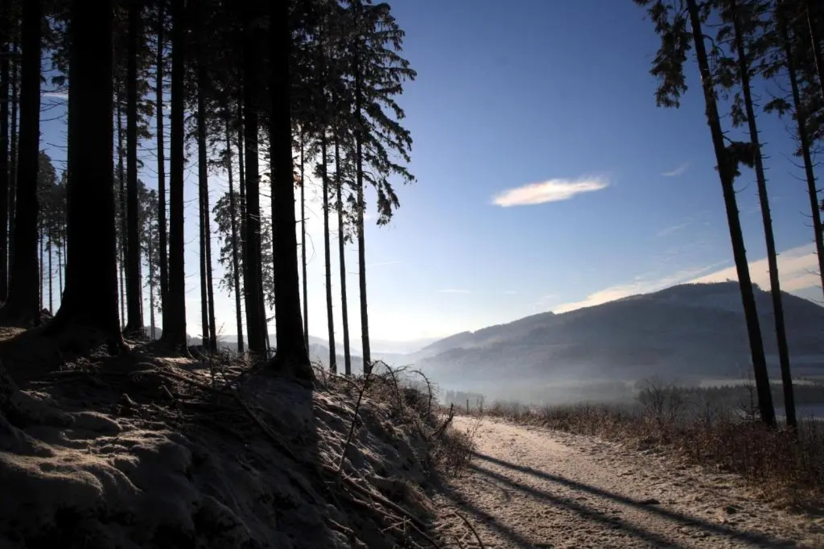 Waldhotel Schinkenwirt