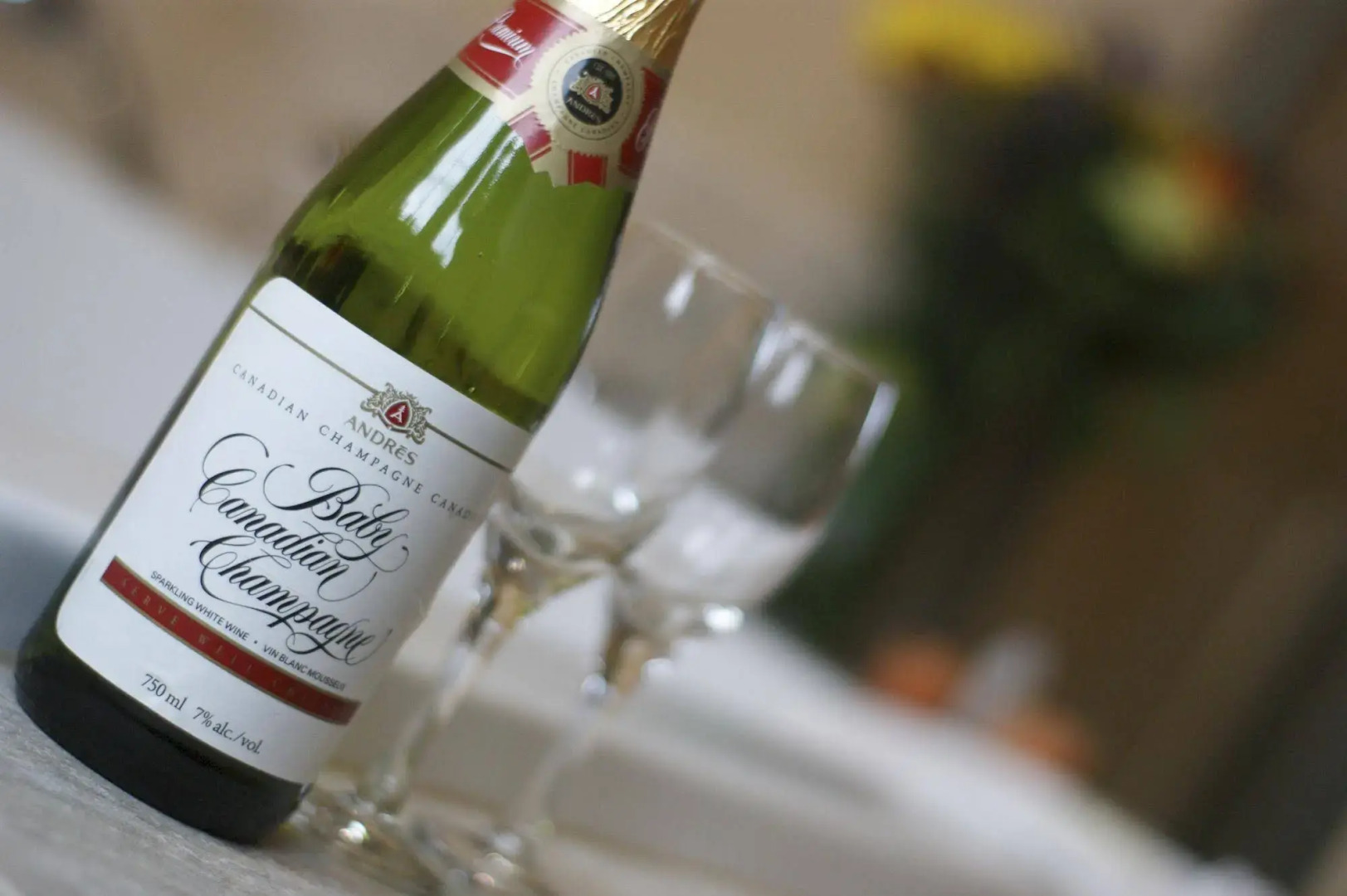 The Wilds at Salmonier River