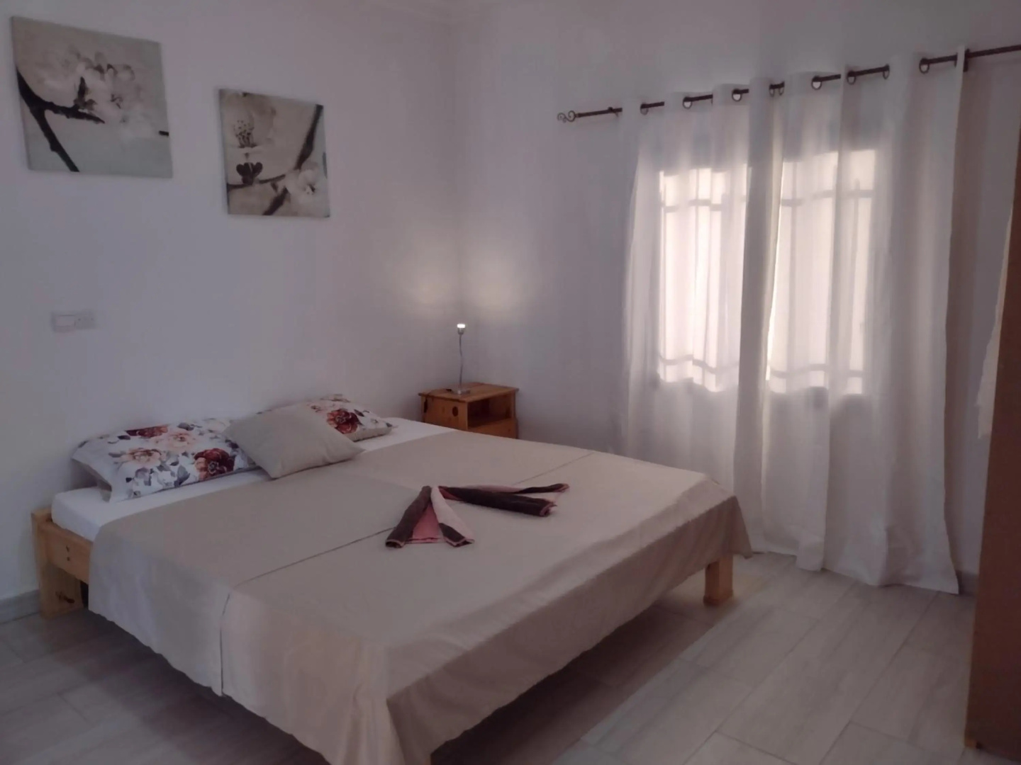 Real Owl Guest House