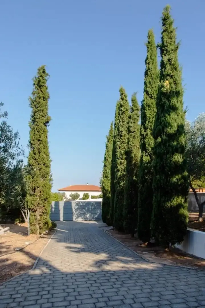 Villa Athens Stay by Athens Stay