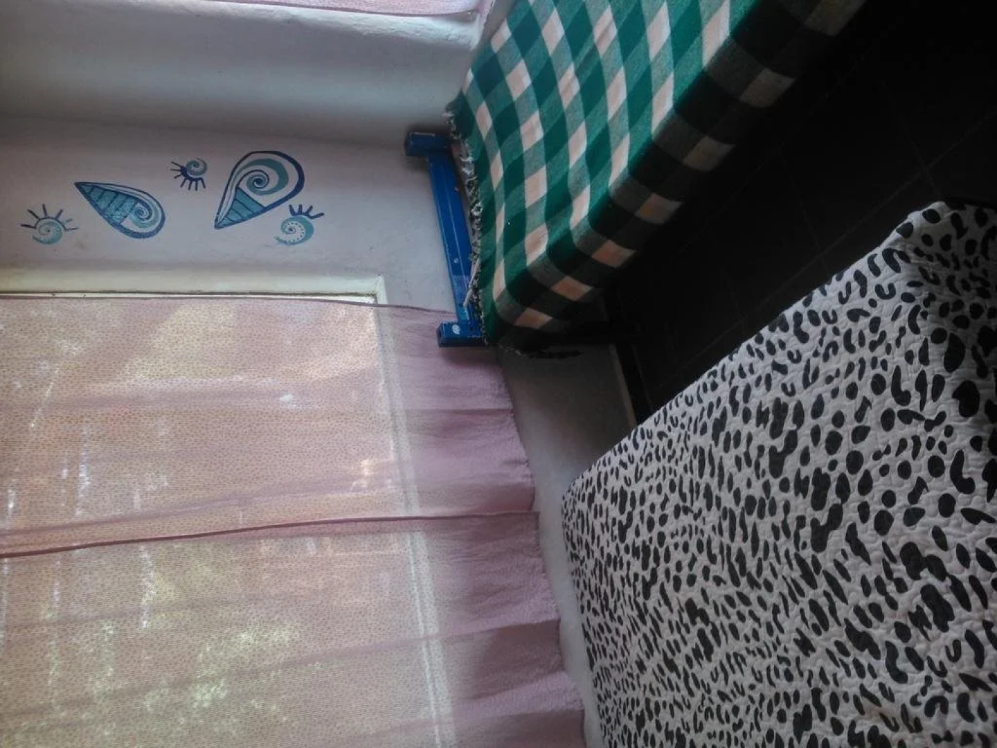 Jaguar Azul Hostal Camping
