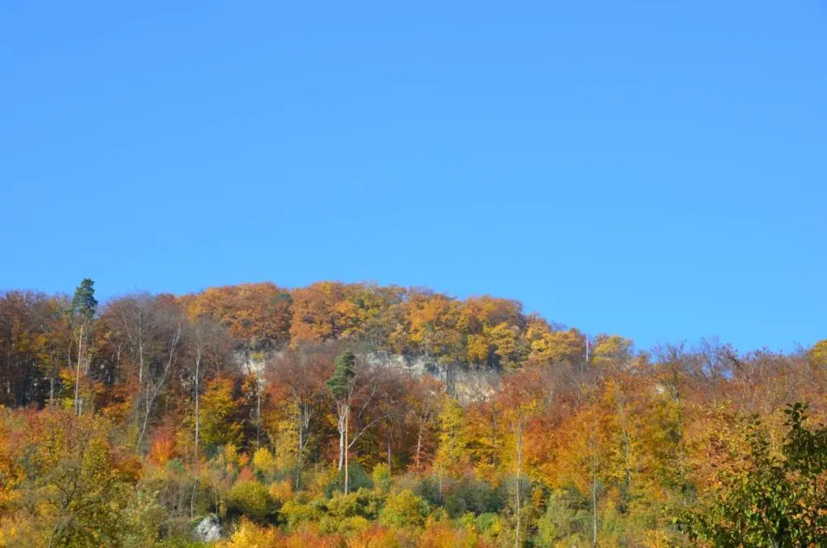 Bad Schauenburg, Hotel