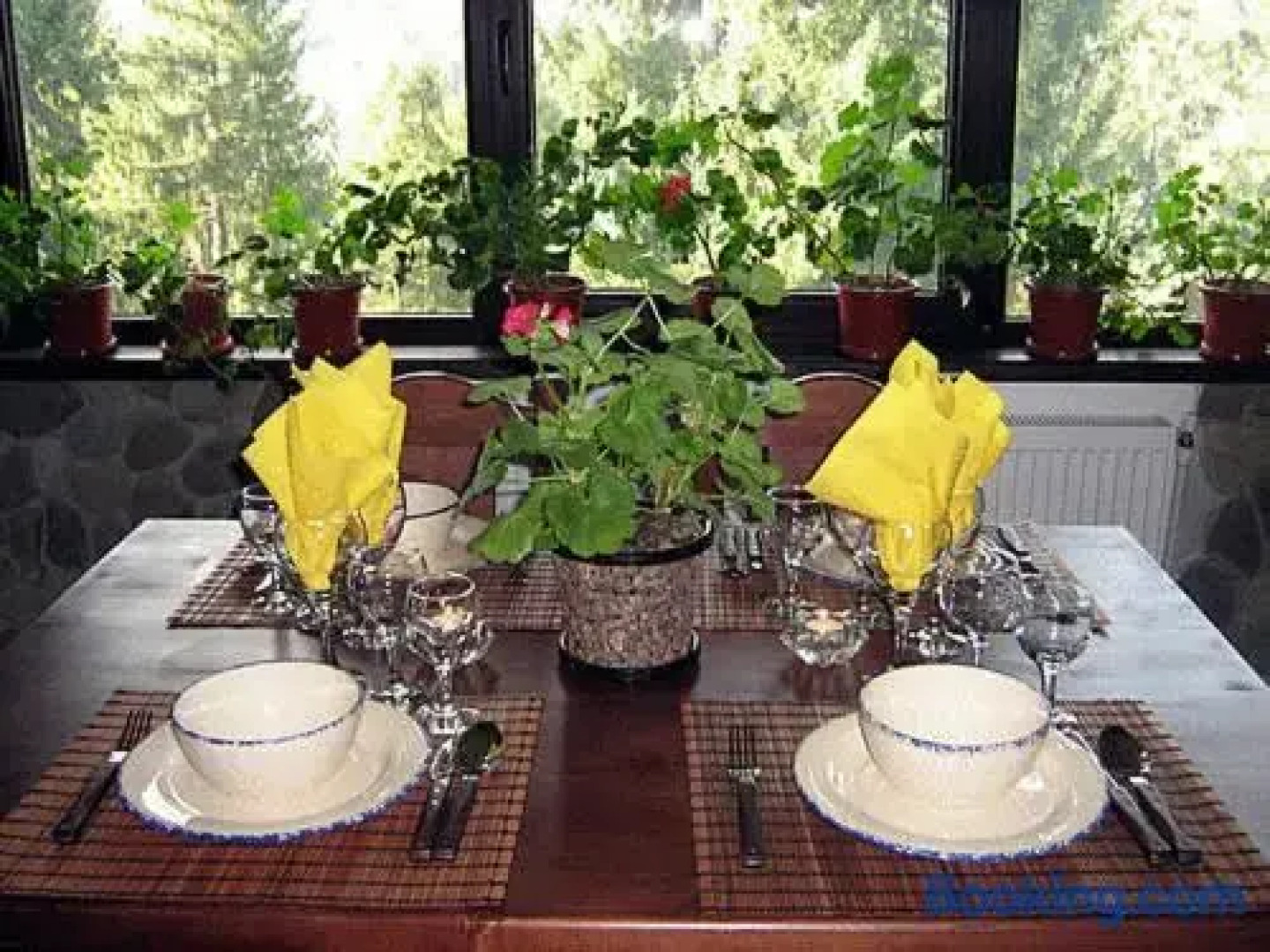 Pension Cabana Ionela