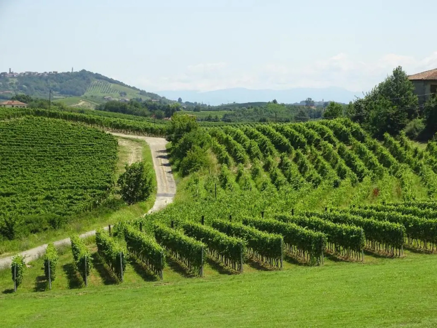 Al Tirabusòn Countryhouse