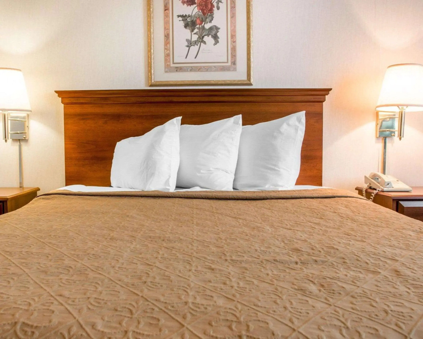 Quality Inn Hudsonville South