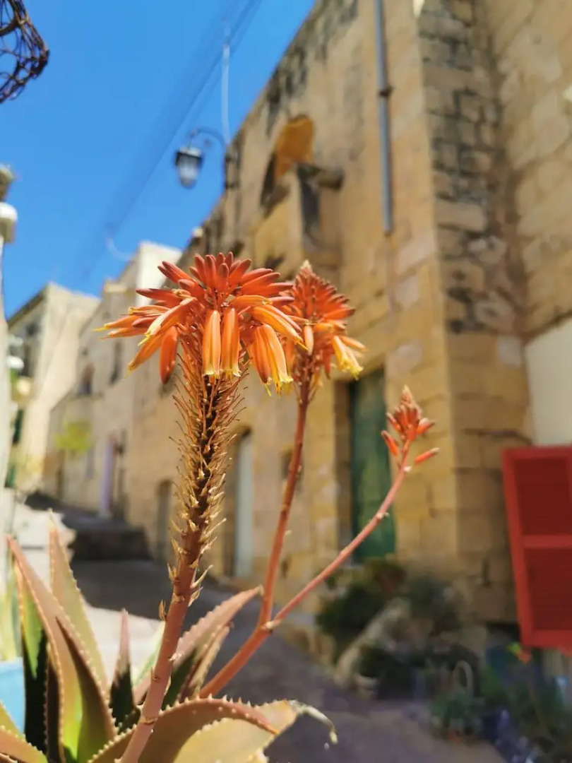 Heavens Door - Guest House