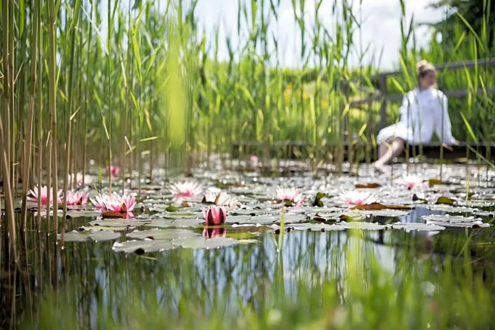 Hotel Weingut Stroblhof